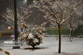 تصاویر / بارش برف در شهر اراک
