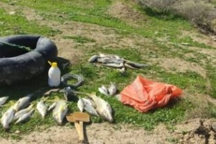 دستگیری متخلفین صید ماهی با مواد منفجره در پلدختر