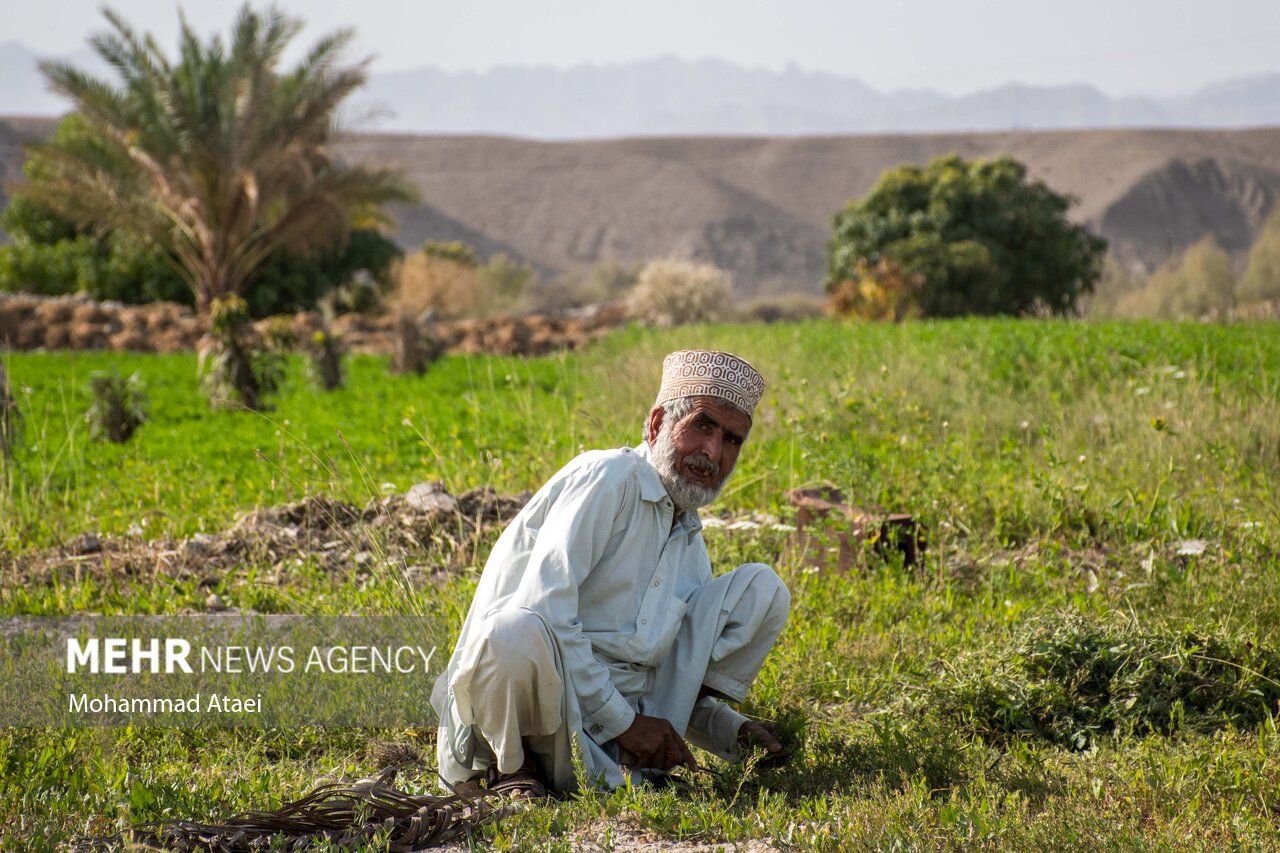 قصر قند نگین سبز بلوچستان