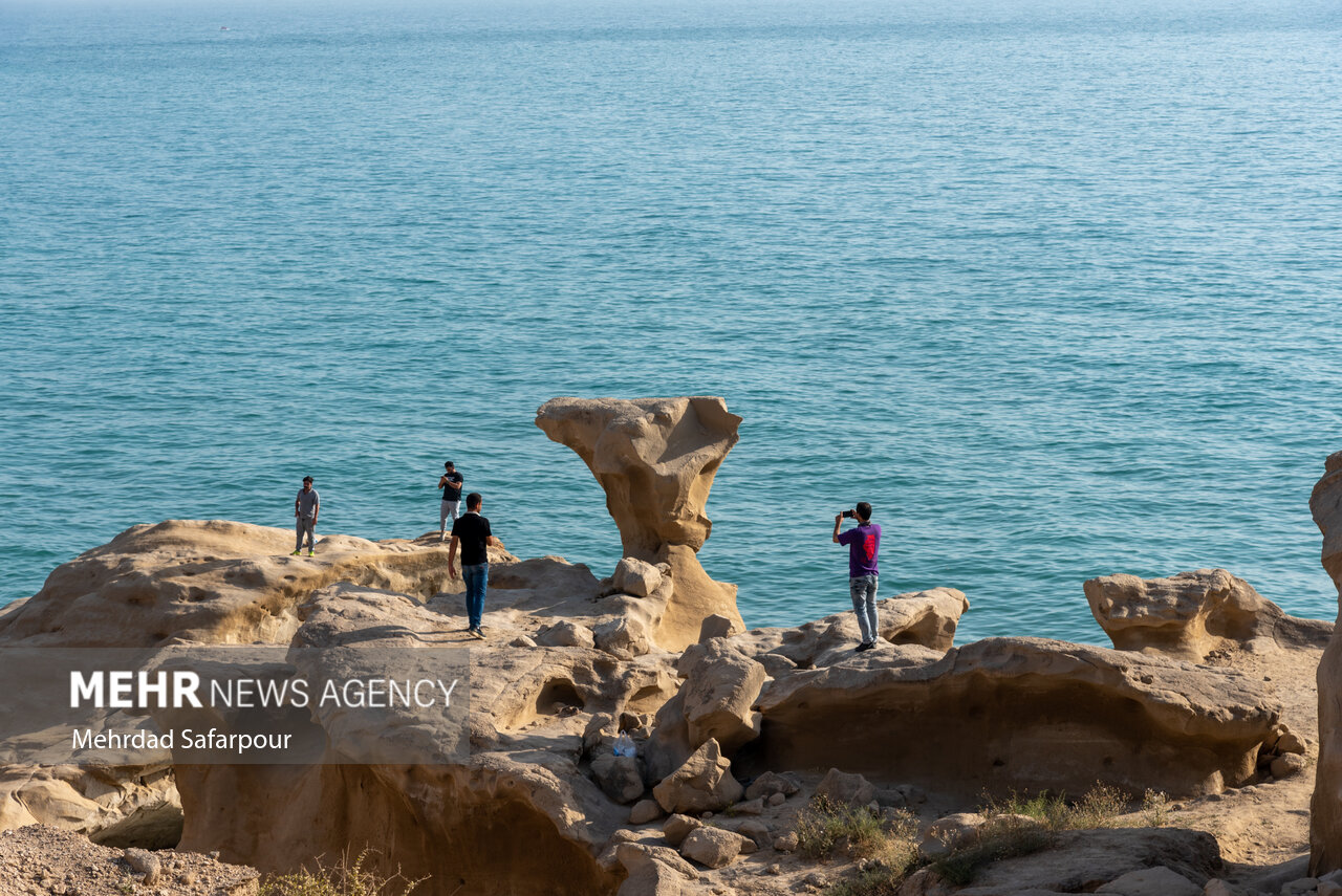 بهار زیبای خلیج فارس