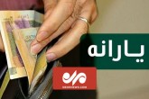 جزئیات طرح جدید دولت برای جبران حذف ارز ۴۲۰۰ تومانی