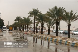 بارش باران در نوار شمالی کشور / گرد و خاک در غرب و جنوب غرب