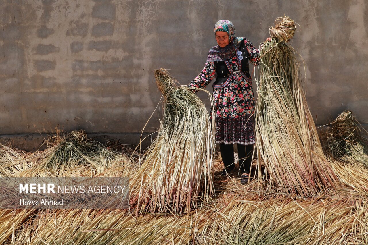 گالی بافی «حصیربافی»