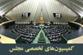 ۷ وزیر به مجلس می‌روند/ بررسی ابعاد انتظامی و امنیتی وقایع اخیر