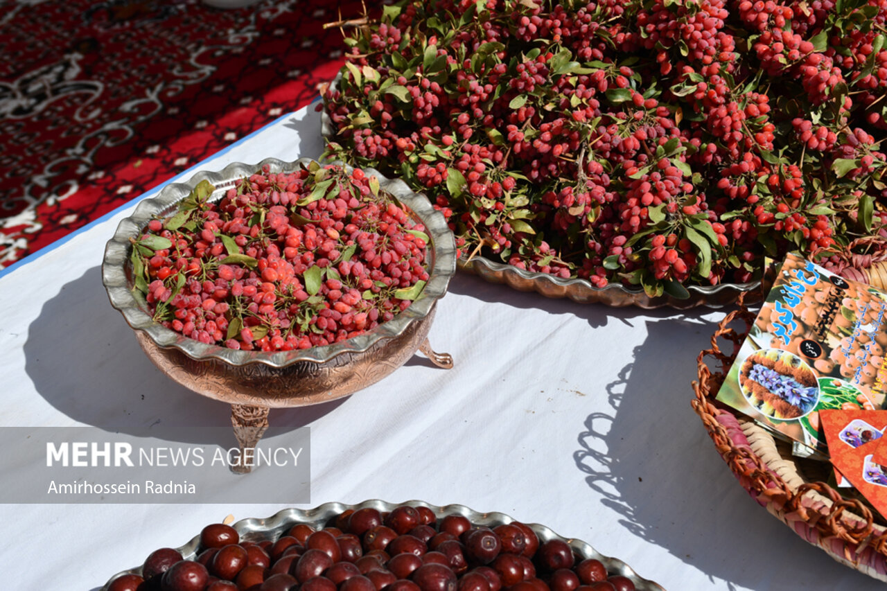 جشنواره ملی زرشک