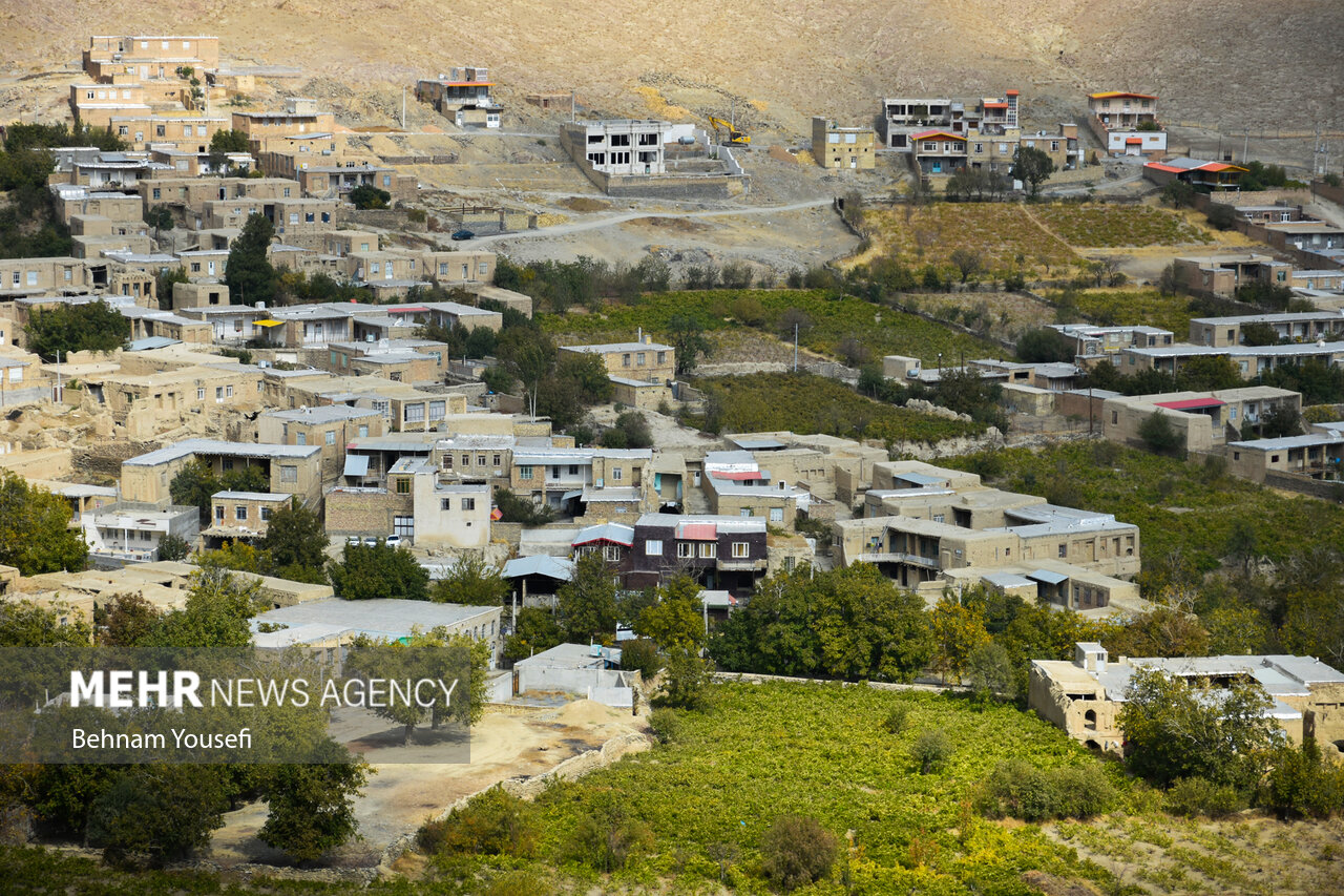 جشنواره انگور روستای هزاوه