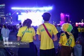 تصاویر / تماشای بازی برزیل و صربستان در دوحه