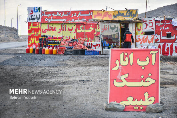 کسب روزی حلال در جاده ها