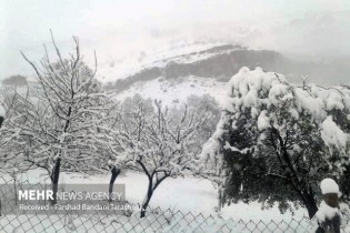 مدارس ابتدایی مناطق ۱ تا ۵ شهر تهران غیرحضوری شد