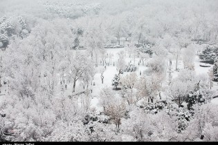 بوستان‌های تهران تعطیل نیستند