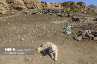 جابجایی خانوارها از مسیر رودخانه‌ها/ مشکلی برای عشایر رخ نداد