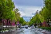 بارش باران‌های بهاری در نیمه شمالی کشور