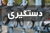 ۲ عنصر ضدامنیتی شرق کشور بازداشت شدند