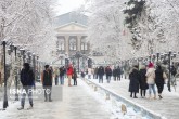 بارش برف و باران در شمال و غرب تهران/ پیش‌بینی وزش باد خیلی شدید