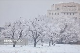 ورود سامانه بارشی طی شنبه به ایران/ بارش برف و باران در کشور